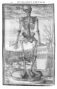 102 Charles Estienne 1545