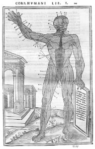 103 Charles Estienne 1545