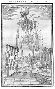 115 Charles Estienne 1545