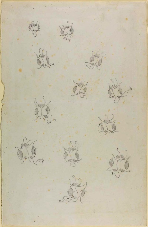 12 Butterflies
