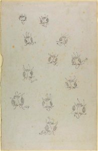 12 Butterflies