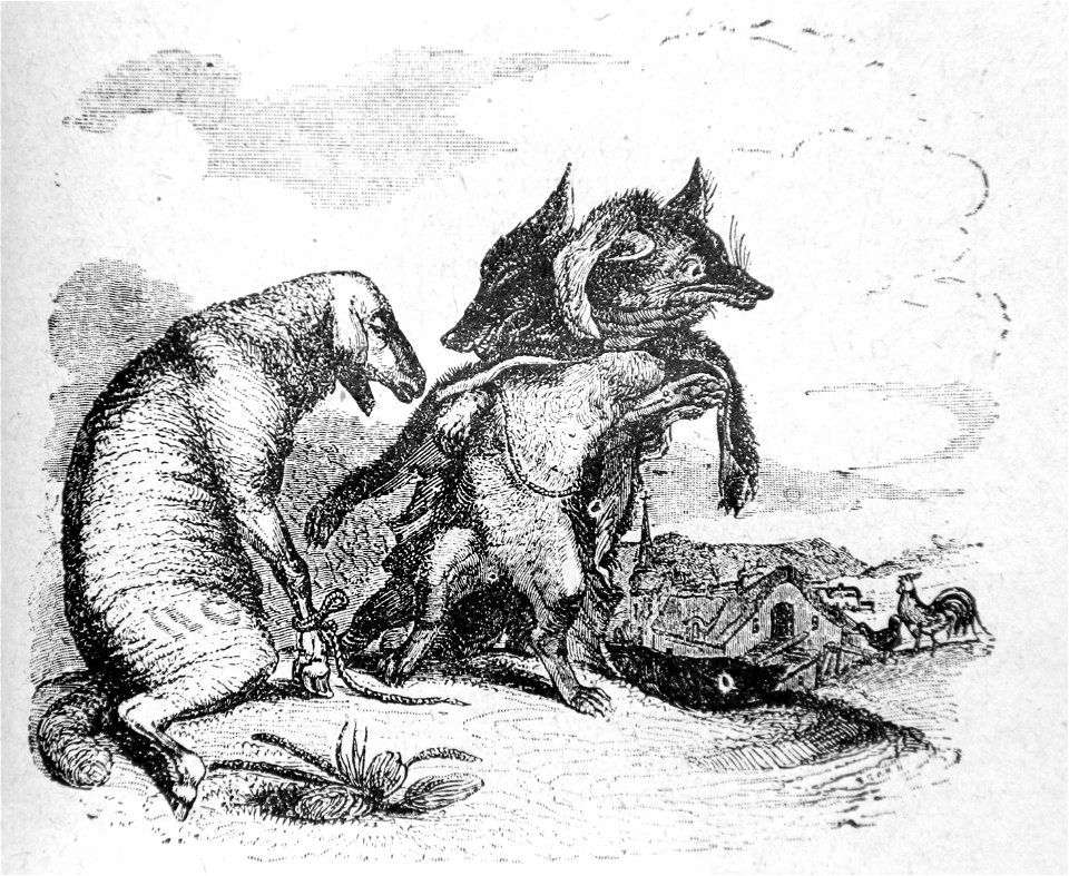 12-9-Le-loup-et-le-renard