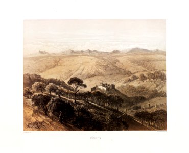 12.Hasbeiya