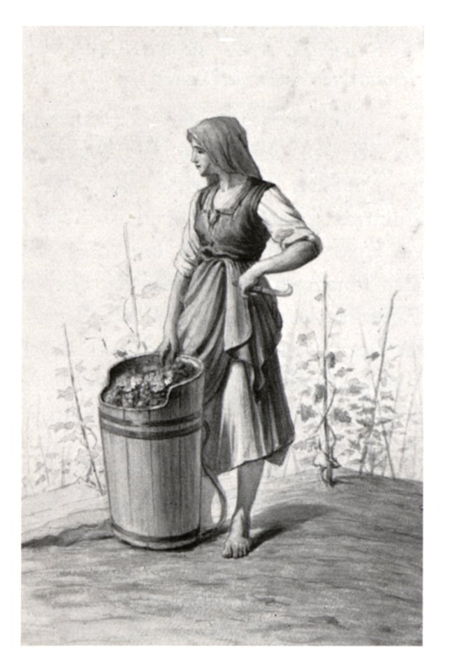 127 Winzerin aus der Luttenberger Gegend, Aquarell von J. Lepuschütz, 1892