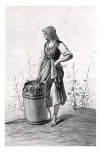 127 Winzerin aus der Luttenberger Gegend, Aquarell von J. Lepuschütz, 1892