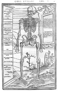 13 Charles Estienne 1545