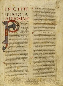 13425701 Decorated Initial P