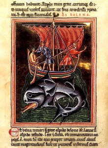 12th-century painters - On Whales, folio from a Bestiary - WGA15746