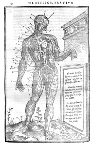 134 Charles Estienne 1545