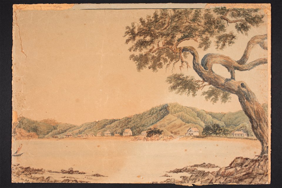 Paihia (48752075113)