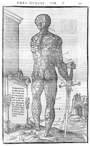 135 Charles Estienne 1545