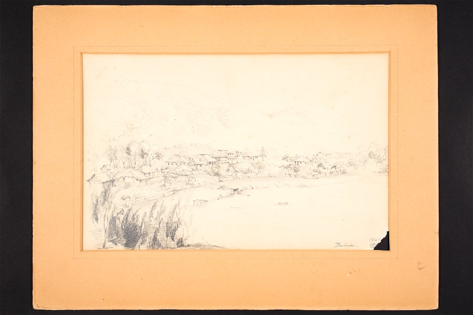 Paihia (48752872302)