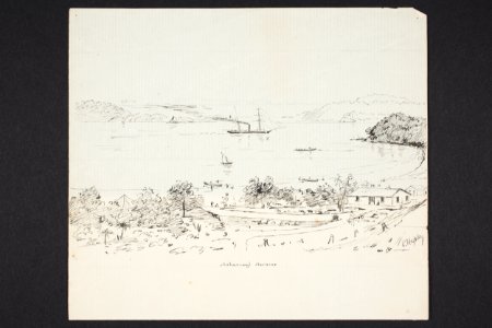 Mahurangi Harbour (48752824251)