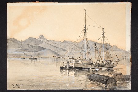 Timber scow with view of Coromandel Harbour & Castle Rock (48752610662)