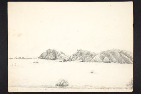 Tapeka (Bay of Islands), Waitangi (48753033871)