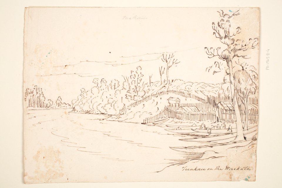 Tuakau on the Waikato (48752584728)