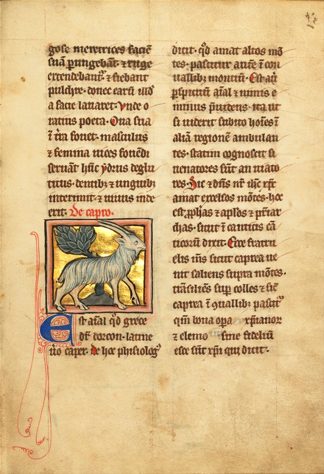 A Goat - Google Art Project