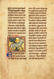 A Goat - Google Art Project