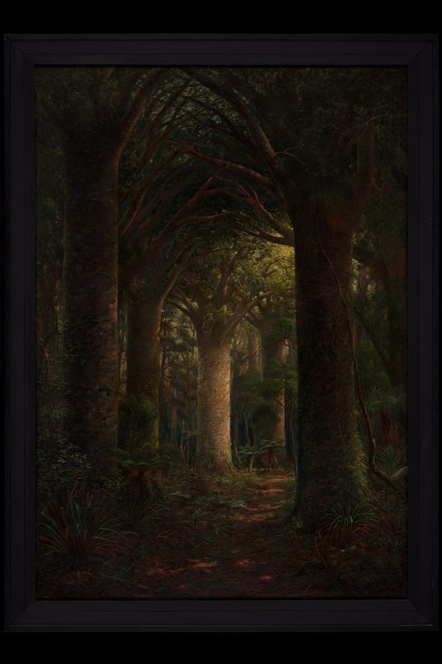 The Vaulted aisles of Nature's Cathedral (48753586261)