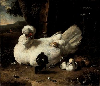 A hen with chicks in a landscape