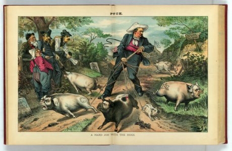 A hard job with the hogs - Gillam. LCCN2011660692