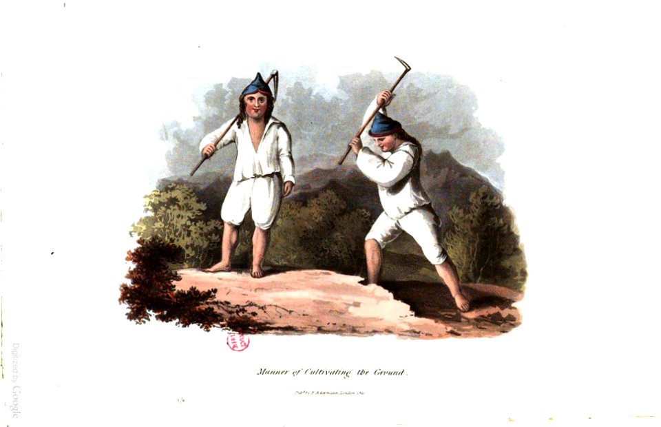 A History of Madeira, 1821, P 71