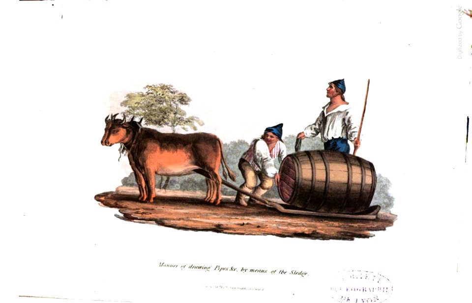 A History of Madeira, 1821, P 87