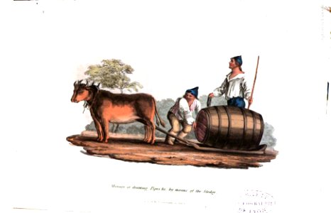 A History of Madeira, 1821, P 87