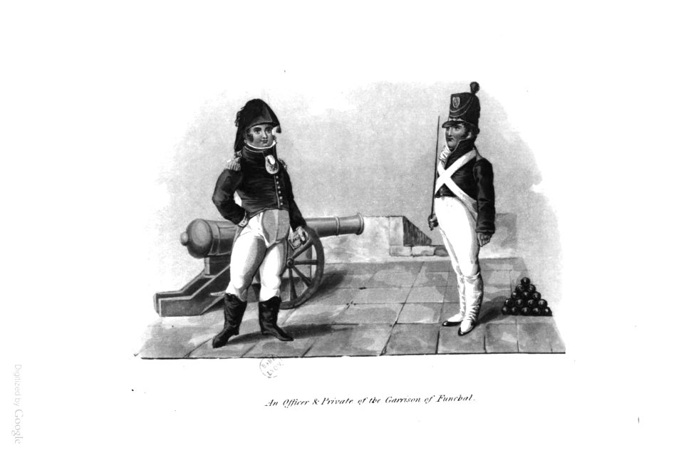 A History of Madeira, 1821, P 113
