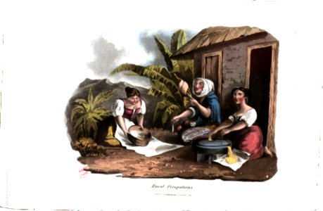 A History of Madeira, 1821, P 75. Free illustration for personal and commercial use.