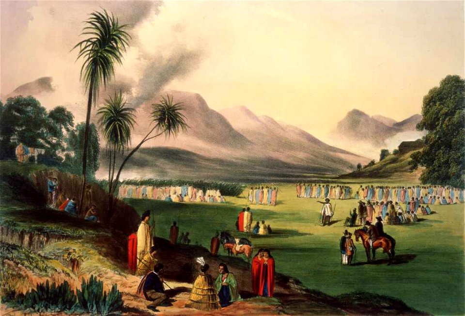 A korero. Capt Oliver delt. Dickinson & Co. lith. London, 1852