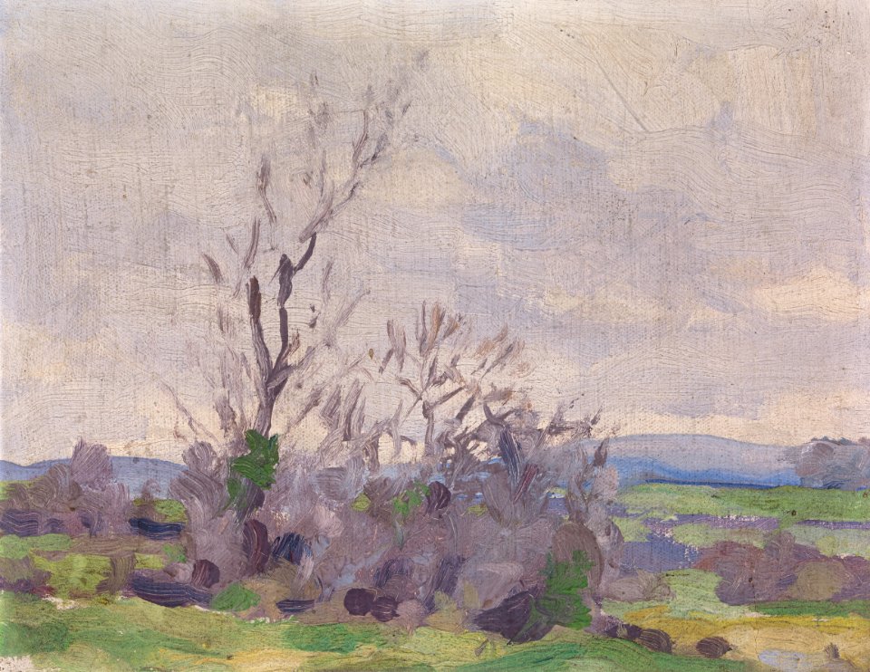 A Landscape P4971