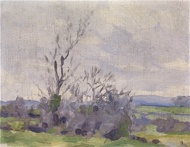 A Landscape P4971
