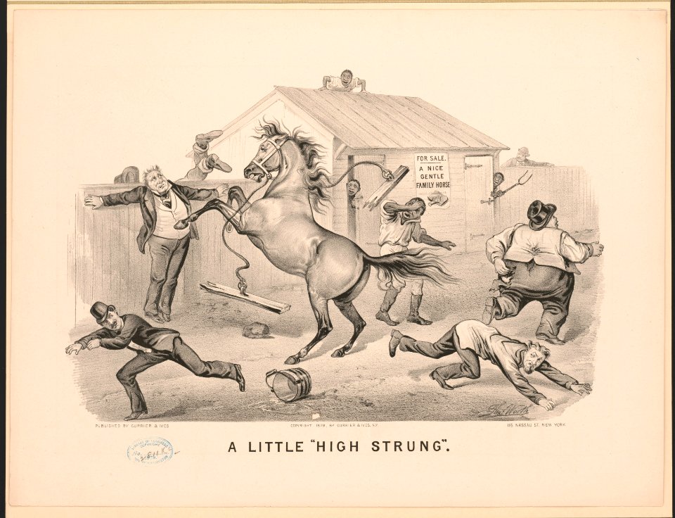 A little high strung - Thos. Worth. LCCN2017660402