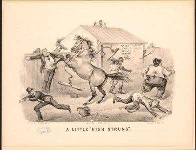 A little high strung - Thos. Worth. LCCN2017660402