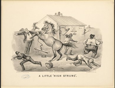 A little high strung - Thos. Worth. LCCN2017660402