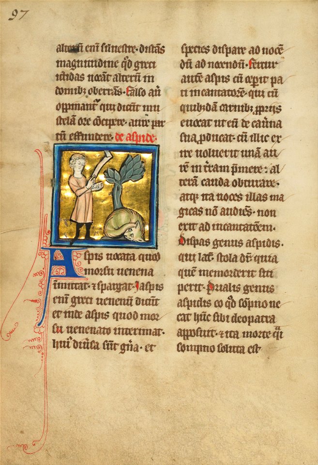 A Man and a Snake - Google Art Project