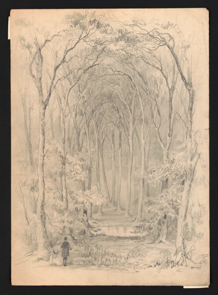 A man and a woman standing at the entrance to a trail through a forest LCCN2016648680