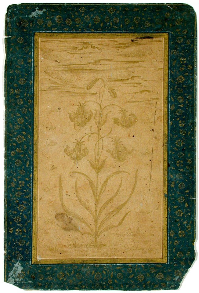 A lily plant with four blooms and two buds (6124536859)