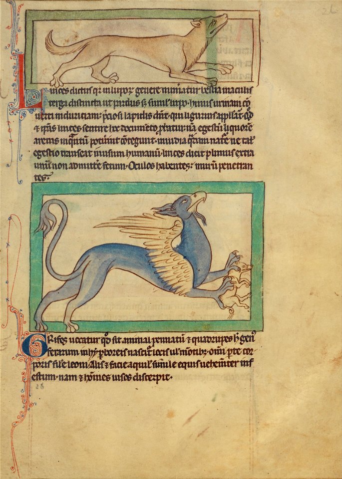 A Lynx; A Griffin - Google Art Project