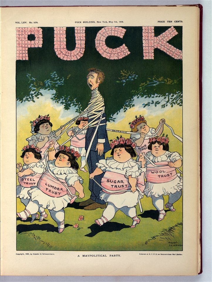 A maypolitical party - Albert Levering. LCCN2011647466