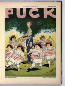 A maypolitical party - Albert Levering. LCCN2011647466