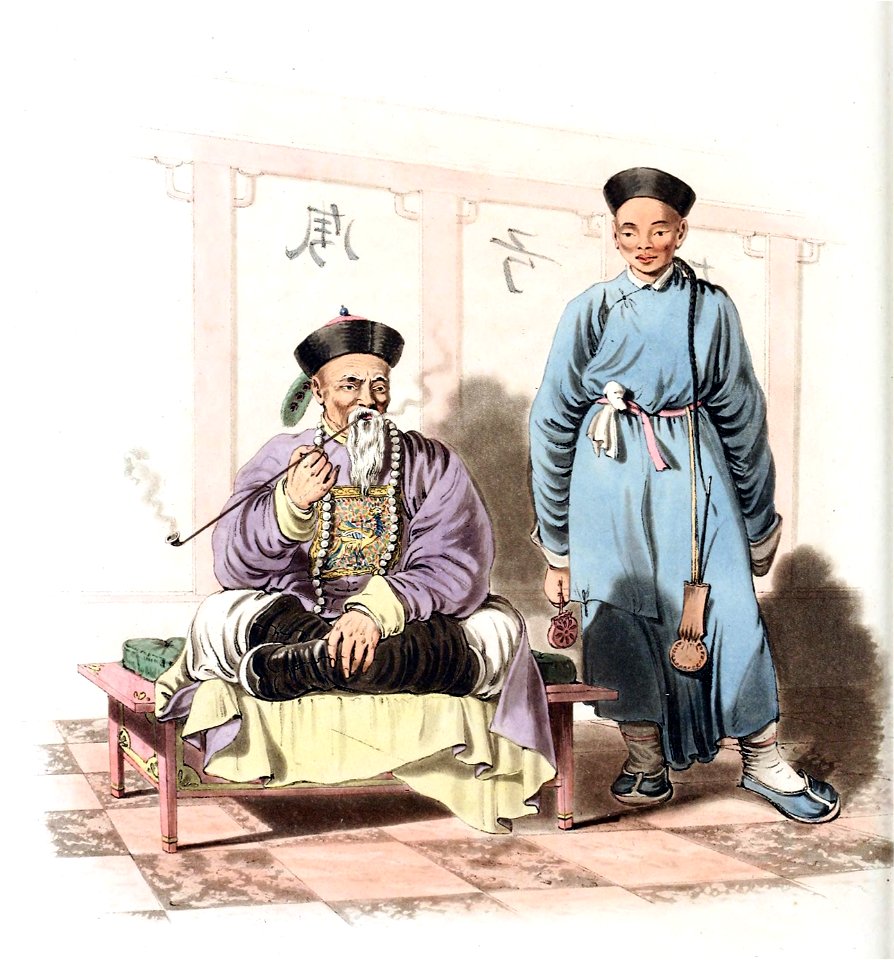 A mandarin attended by a domestic