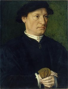 A Member of the de Hondecoeter Family SC-000766