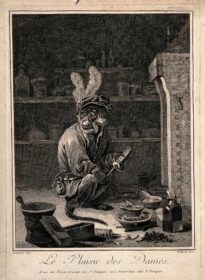 A monkey holding a clyster in an apothecary's shop; satirizi Wellcome V0011663