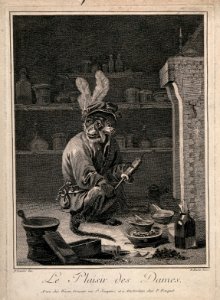 A monkey holding a clyster in an apothecary's shop; satirizi Wellcome V0011663
