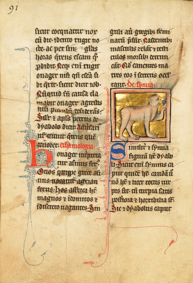 A Monkey - Google Art Project