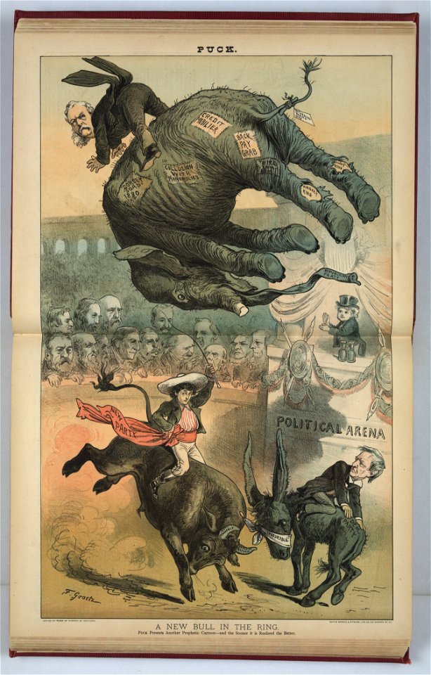 A new bull in the ring - F. Graetz. LCCN2012645644