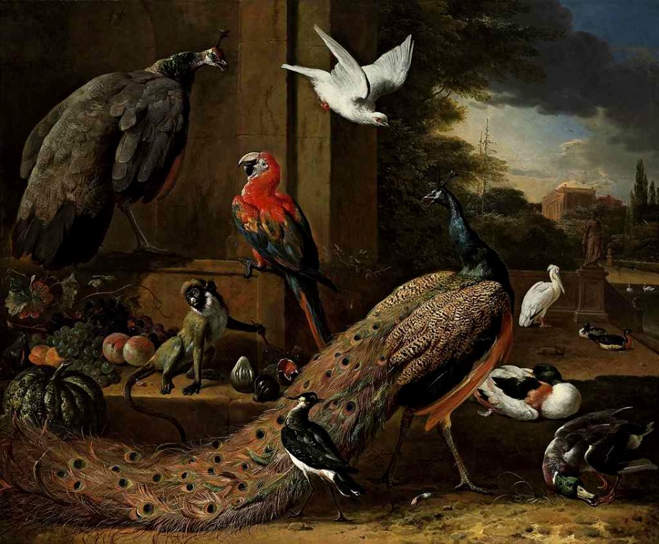 A peacock, a peahen, a monkey and other birds on a terrace
