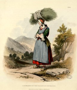 A Paysanne of the Valley of Betmalle (i.e. Bethmale) - Fonds Ancely - B315556101 A HARDING 075